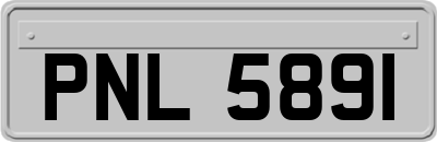 PNL5891