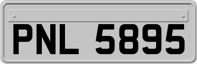 PNL5895