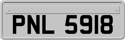PNL5918