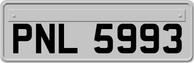PNL5993