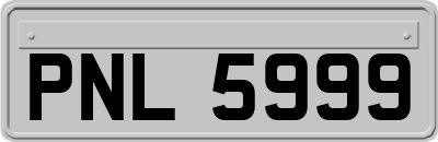 PNL5999