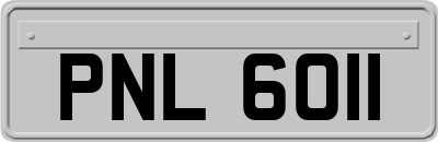 PNL6011