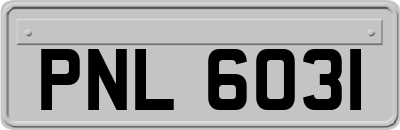 PNL6031