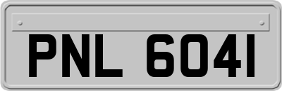 PNL6041