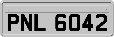 PNL6042