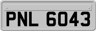 PNL6043