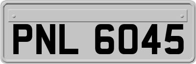 PNL6045