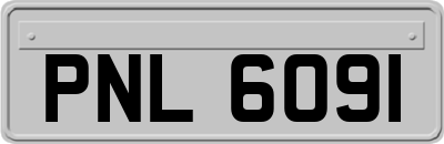 PNL6091