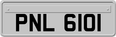 PNL6101