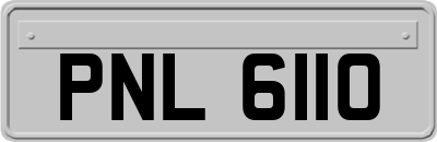 PNL6110
