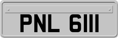 PNL6111