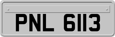 PNL6113