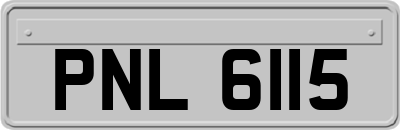 PNL6115