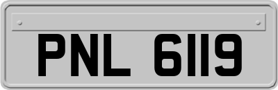 PNL6119