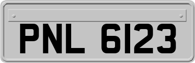 PNL6123