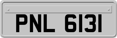 PNL6131