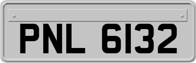 PNL6132