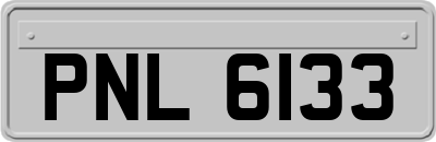 PNL6133