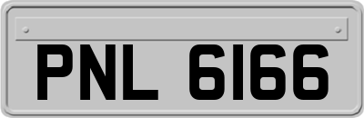 PNL6166