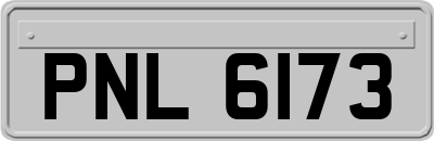 PNL6173