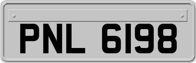 PNL6198