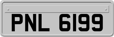 PNL6199