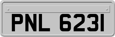 PNL6231