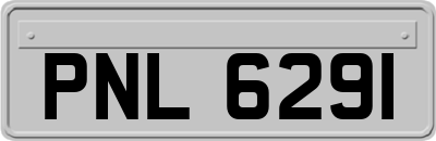 PNL6291