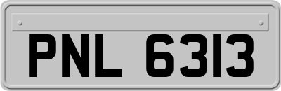 PNL6313