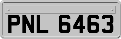 PNL6463