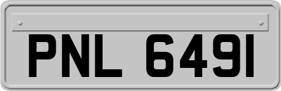 PNL6491