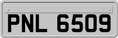 PNL6509