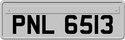 PNL6513