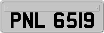 PNL6519