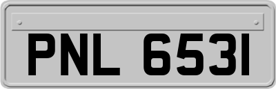 PNL6531
