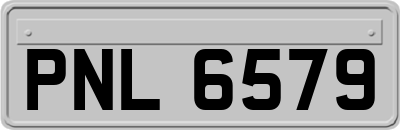 PNL6579