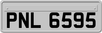 PNL6595