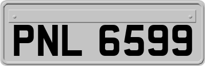 PNL6599