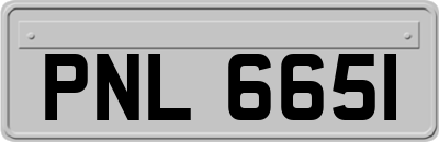 PNL6651