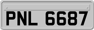PNL6687