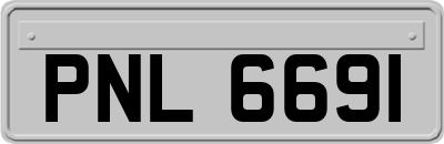PNL6691