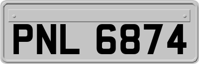PNL6874
