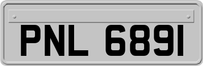 PNL6891