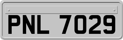 PNL7029