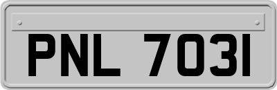 PNL7031