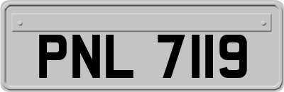 PNL7119