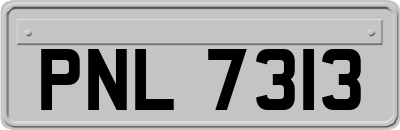 PNL7313