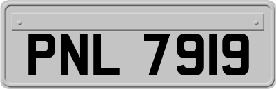 PNL7919
