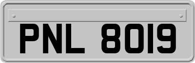 PNL8019