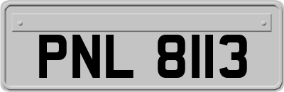 PNL8113